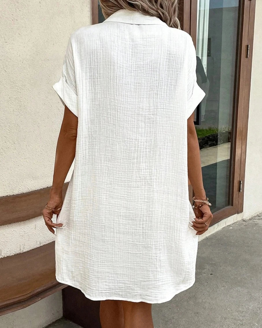 Vinaga Mini Dress