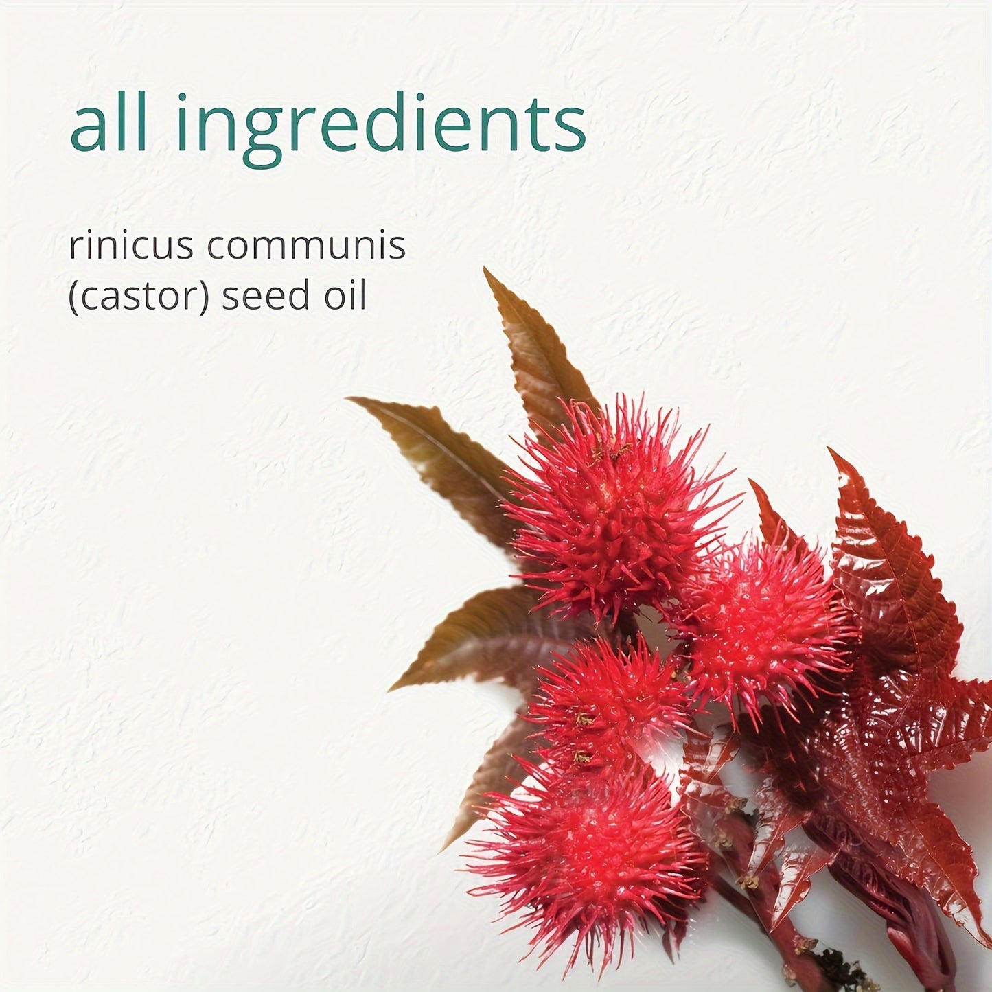 Castor Oil 100% Pure