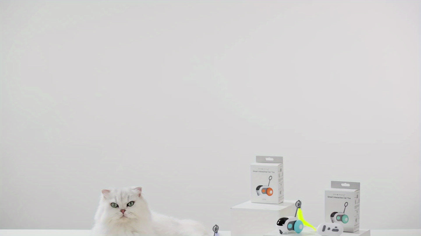 Interactive Cat Chasing Toys